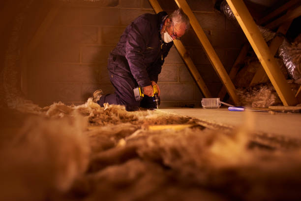 Best Crawl Space Insulation  in USA